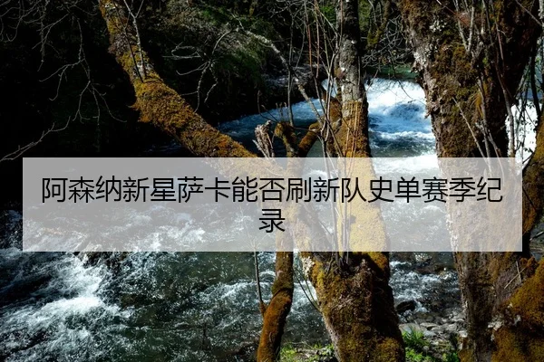 阿森纳新星萨卡能否刷新队史单赛季纪录